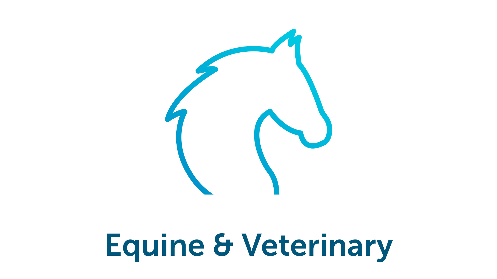 Icon of a horse outline, text 'Equine & Veterinary' below.
