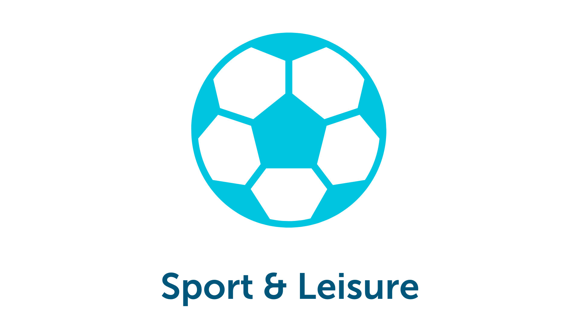 Icon of a football outline, text 'Sports & Leisure' below.